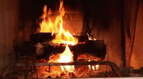 The Yule Log as a Metaphor for Rebirth and Renewal in Pagan Celebrations